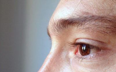 Mon nez, par François Beaune