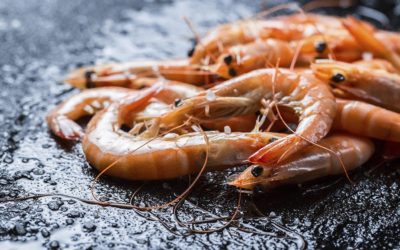 Les crevettes algériennes, par Chawki Amari