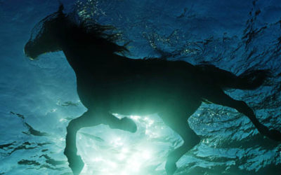 Le cheval sous la mer