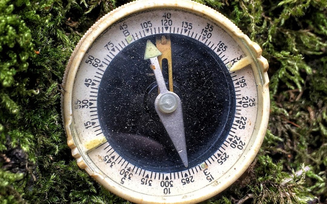 Déboussolée, par Anne-Marie