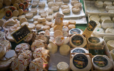 Les vers dans le Banon, par Françoise