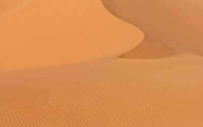 La chasse à la gazelle, par Antoine