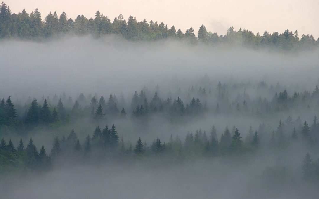 La petite amie et le brouillard, par Guy