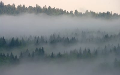 La petite amie et le brouillard, par Guy