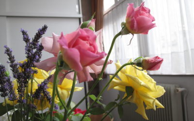 Les fleurs de l’écolier, par Nicole