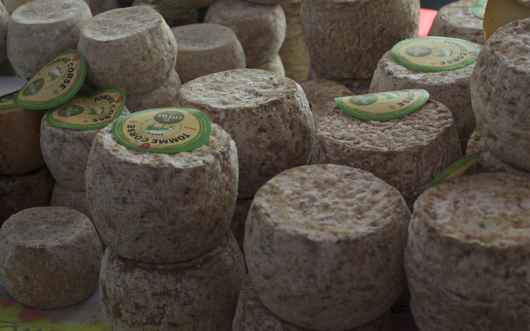 Le fromage corse, par Françoise