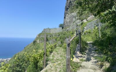 ISCHIA / Les terrasses